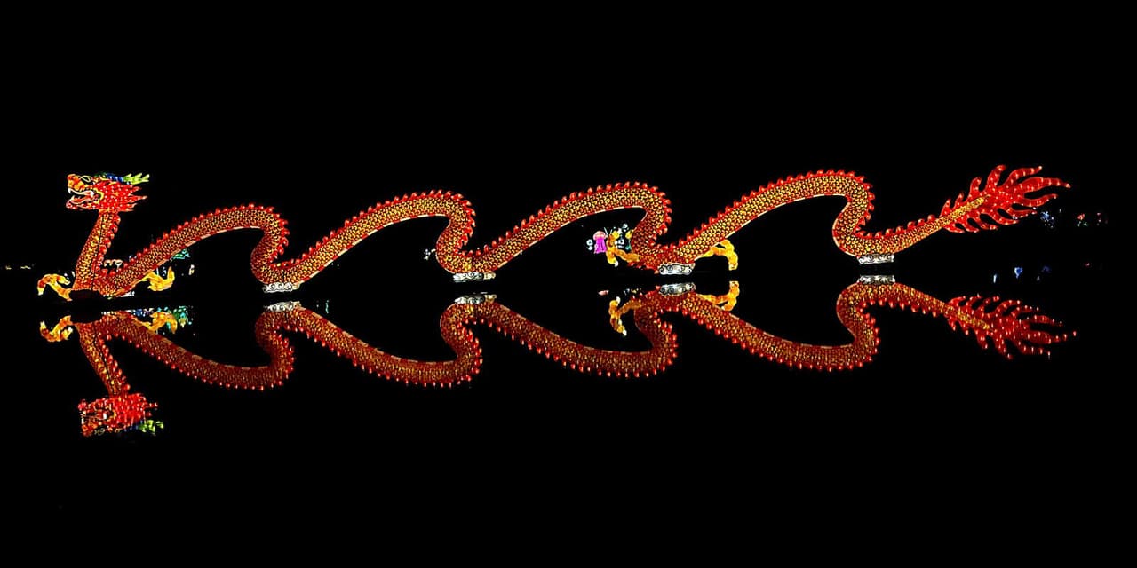 Además, este año la exposición agrega dos nuevos temáticas para sus luces, se trata de 'Polar Dreams' y 'Ocean Visions'.