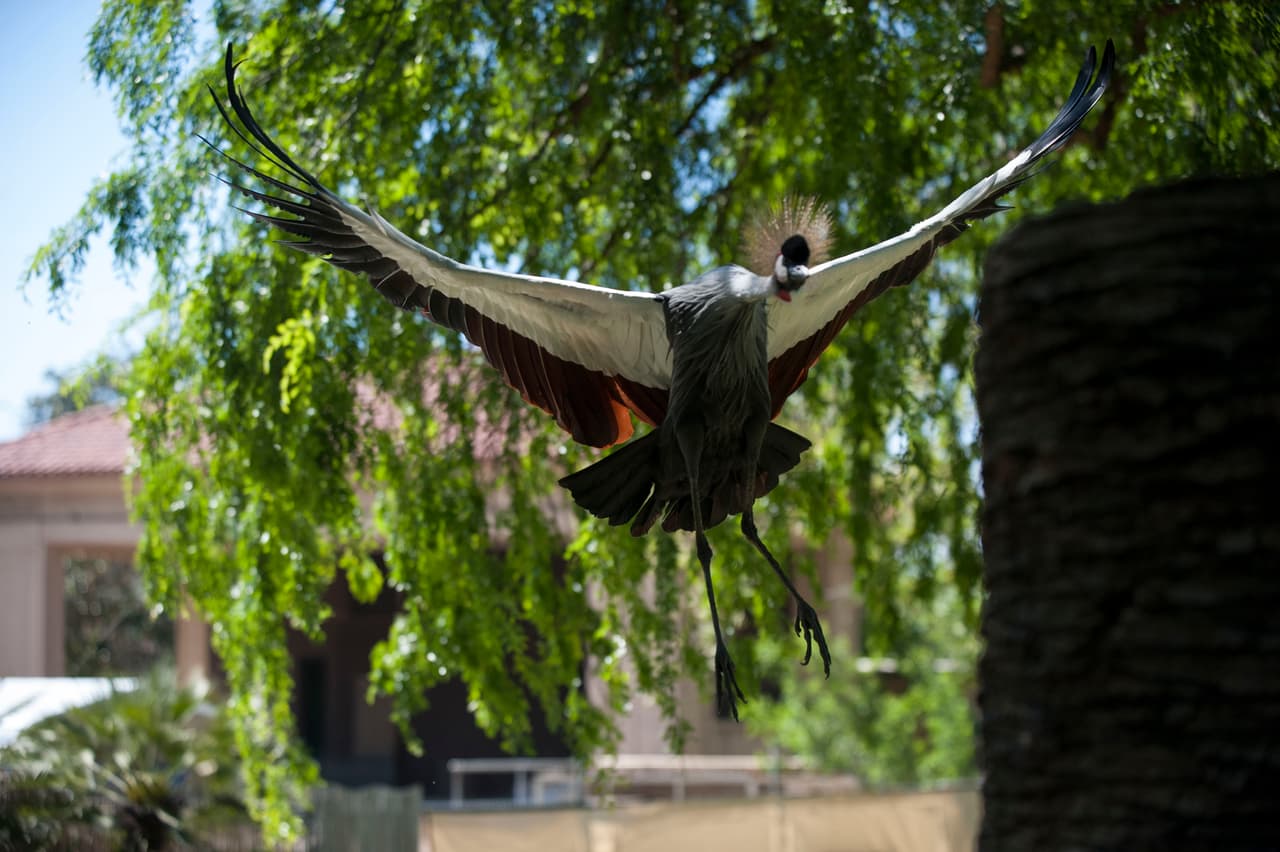 Un bello dia fue perfecto para las familias desde Bakersfield a Modesto.