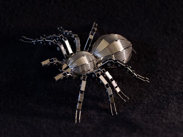 La exhibición estará abierta al público en general a partir de este sábado y estará abierta hasta el 8 de octubre.
<br>
<br>
<b>Dirección</b>: 11 W Jones St, Raleigh, NC 27601
<br>
<b>Horario:</b> Abierto de martes a domingo, de 10 a. m. a 5 p. m. (última entrada a las 4 p. m.)
<br>
<b>Boletos</b>
<br>Miembros del museo Gratis
<br>Adulto $14
<br>Mayor (65+), Estudiante (13+),
<br>Militar, con ID $12
<br>Niño de 3 a 12 años $10
<br>Niño de 2 años y menos Gratis
<br>