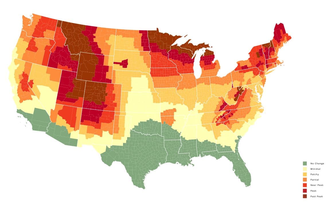 <b>Semana del 4 de octubre:</b> El cambio mínimo se extiende hacia el sur, pero aún no abarca toda Georgia.
<br>