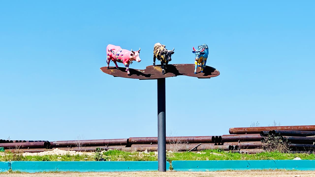 En el terreno hay solo césped y si está húmedo por lluvia podría haber lodo así que use zapatos adecuados.