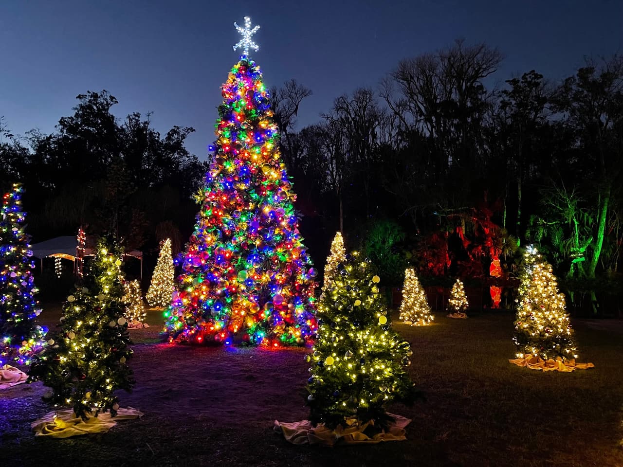 <b>Wekiva Island Christmas Tree Forest and Snow Flurries</b>
<br>
<b>Fechas:</b> 1 al 31 de diciembre
<br>
<b>Lugar:</b> Wekiva Island. 1014 Miami Springs Drive, Longwood, FL
<br>
<b>Sitio web</b>: 
<a href="https://wekivaisland.com/event/christmas-tree-forest-snow-flurries/">https://wekivaisland.com/event/christmas-tree-forest-snow-flurries/</a> 
<br>
<br>Disfruta de miles de luces y del árbol de Navidad de 30 pies de altura rodeado por docenas de otros árboles decorados mientras caen ráfagas de “nieve” del cielo.