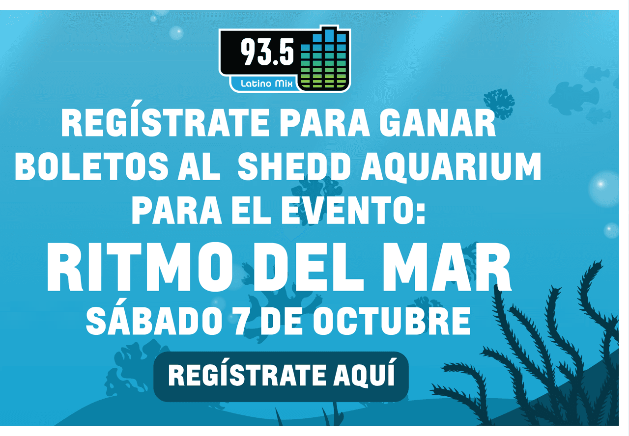 Gana boletos al Ritmo del Mar en Shedd Aquarium