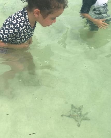 "Nos fuimos con los niños a pasar unas vacaciones, ahora están en el curso de verano, así es que bueno, ando como mamá corriendo", agregó la actriz.