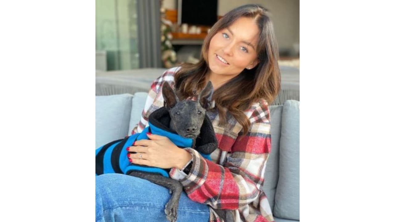 Angelique Boyer y 'Guapo'