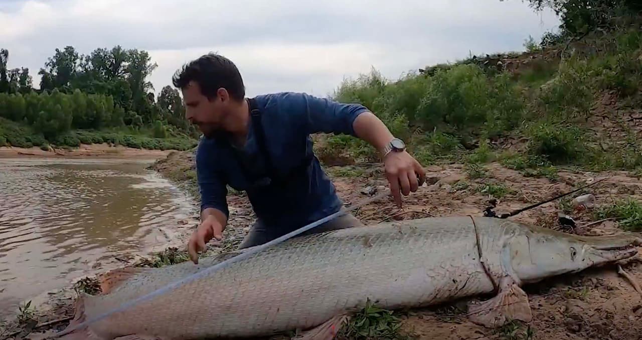 Este no es el primer animal marino que es capturado en las playas de Texas en los últimos días.