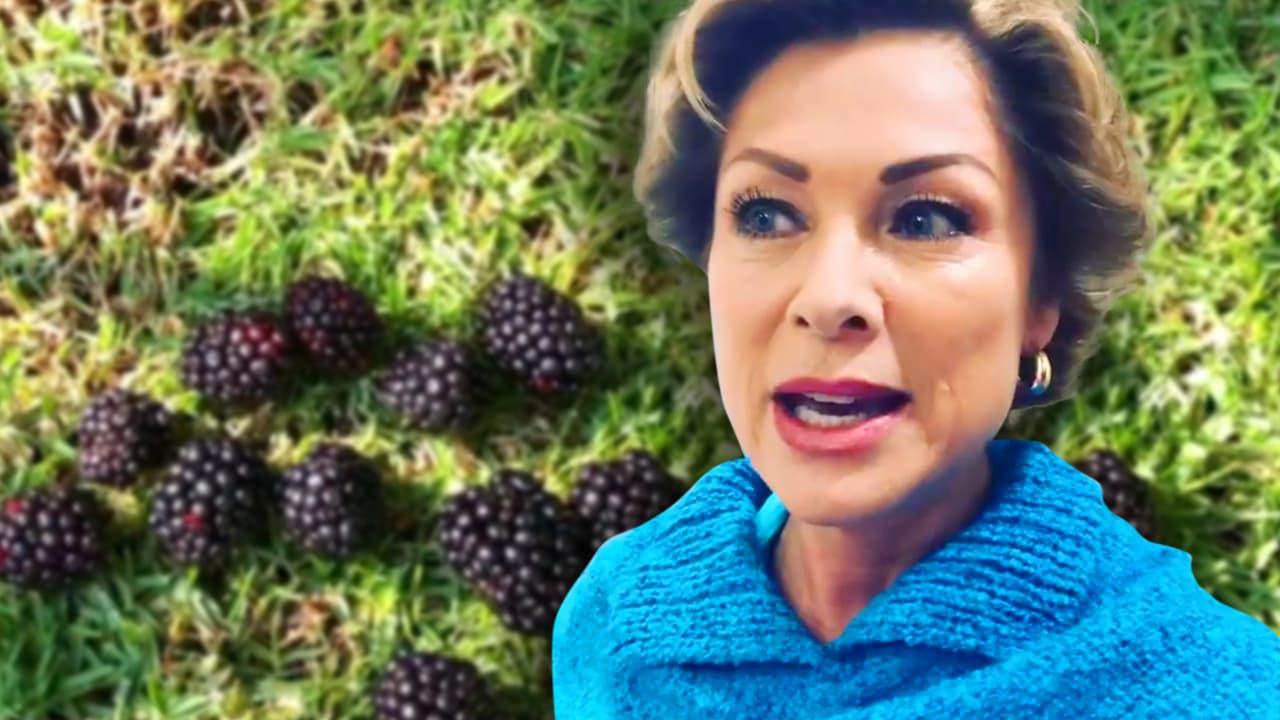 “Esto sí me pone de muy buen humor”: Lety Calderón enseña por qué no necesita de Juan Collado ni Yadhira Carrillo