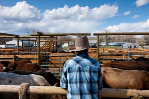 <b>Rodeos y eventos ecuestres </b>| Los negocios que no implementen dichas medidas o rechacen acatar las reglas a partir del lunes, se harán acreedores a multas de
<b> </b>hasta 1,000
<b> </b>dólares por cada violación.