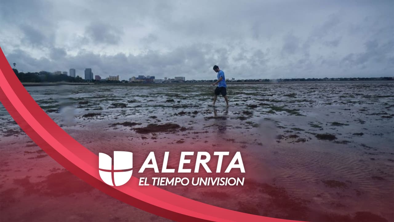 Las autoridades hacen un llamado para que nadie se acerque a las playas, ya que el agua que se ha ido, volverá con la fuerza de la tormenta.