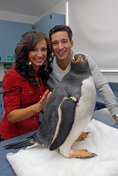 Más adelante, Lopez salió durante tres años con la bailarina de "Dancing with the Stars", Karina Smirnoff. Aquí posan con un lindo pingüinito.Mira aquí más videos de Chismes.