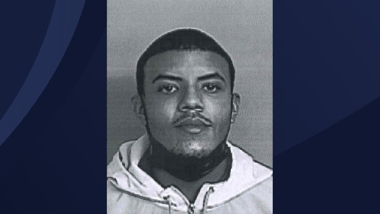 Libre bajo fianza hombre que presuntamente le disparó a un perro en Isabela