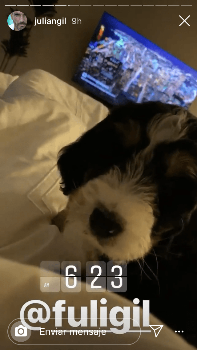 En las últimas horas de este fin de semana, el presentador de 
<b><a href="https://www.tudn.com/?_ga=2.104313408.1954003761.1589724985-1658818480.1581002530" target="_blank">TUDN</a></b> ha compartido algunos de los momentos que ha tenido al lado del cachorro. 
<br>