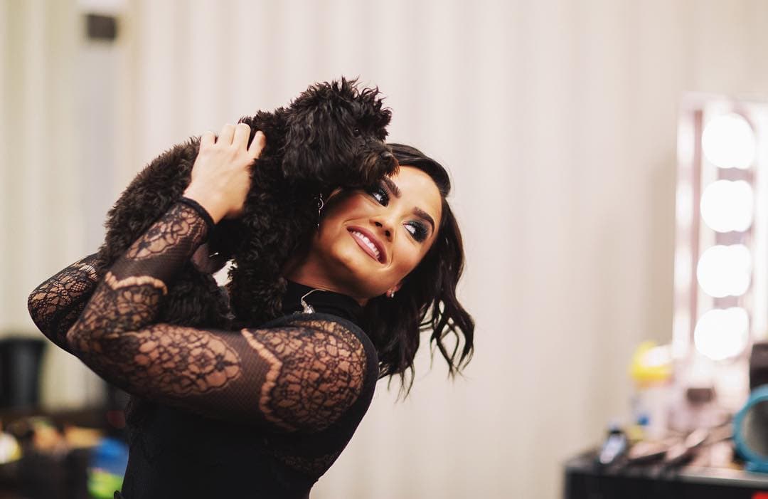 Batman llegó a la vida de Demi Lovato después de que uno de sus perritos sufrió un terrible accidente.