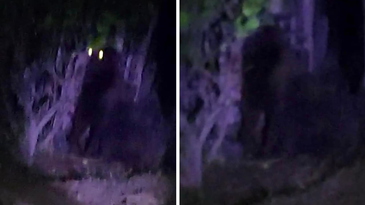 Estas fueron las imágenes publicadas en redes