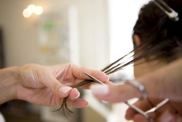 Ya que si no las cortas, podrían comenzar a trepar por la longitud de tus mechones, dejándolos débiles y quebradizos.