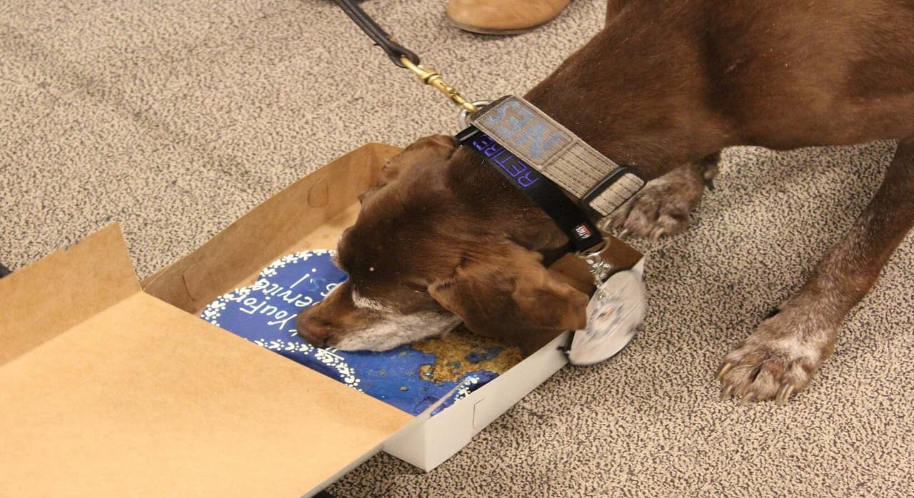 Responsable de la incautación de varios kilos de heroína y cocaína, cientos de libras de cannabis, cientos de miles de dólares en efectivo y múltiples recuperaciones de armas de fuego