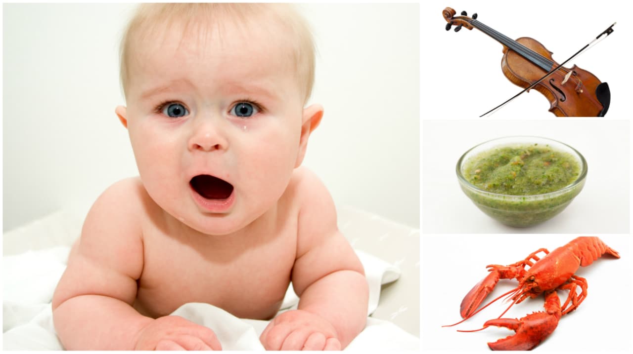 Olvidar objetos en los vehículos del servicio de transporte Uber es un acto frecuente. En
<b> Estados Unidos la compañía tiene dos categorías </b>para clasificarlos: comunes (teléfonos celulares, llaves, anillos, carteras, lentes de sol) y raros. 
<br>Esta última categoría, acaba de conseguir
<b> un nuevo integrante que de inmediato se ubicó en la primera posición.</b> Si creías haber visto todo, tienes que revisar este ranking y sorprenderte al igual que nosotros con las cosas que la gente olvida en Uber.