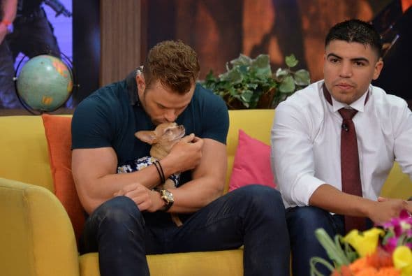 Kellan Lutz en Despierta América