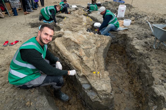 Paleontólogos trabajan en la excavación del ictiosaurio hallado en la reserva natrual de Rutland Water, el 27 de Agosto de 2021.