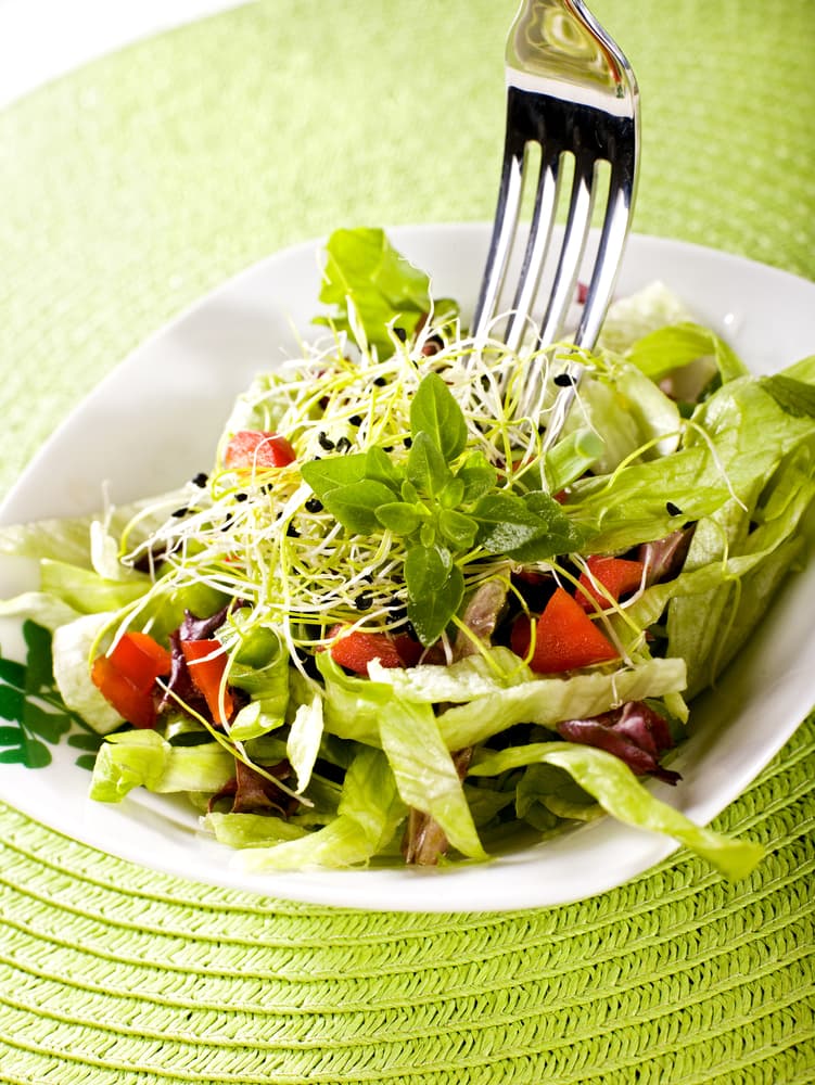 Ensalada de diente de león. Tal vez te suene un poco atrevido pero puedes reemplazar la famosa lechuga con 2 manojos de diente de león, 1 huevo duro, sal, aceite, vinagre balsámico, si quieres puedes agregar un poco atún este es opcional. Ahora solo mezcla y sirve.