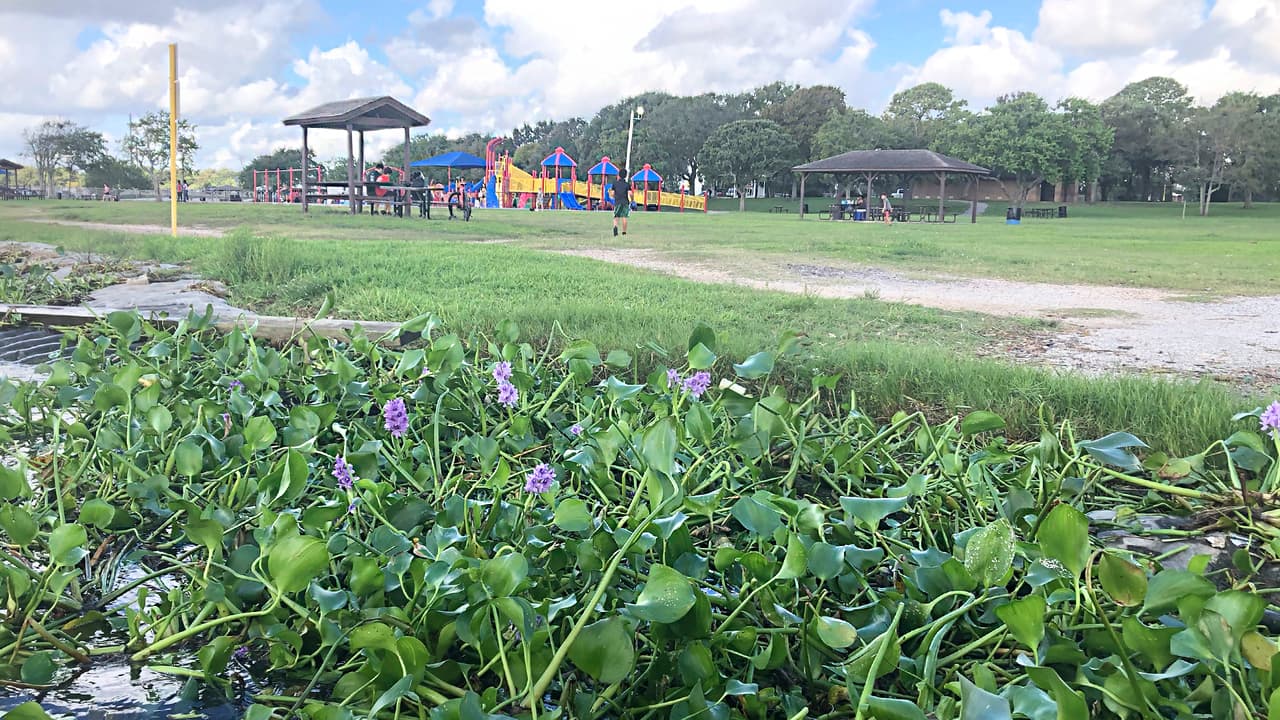 Las zonas recreativas para niños cuentan con columpios, deslizaderos y pasamanos, entre otras atracciones.