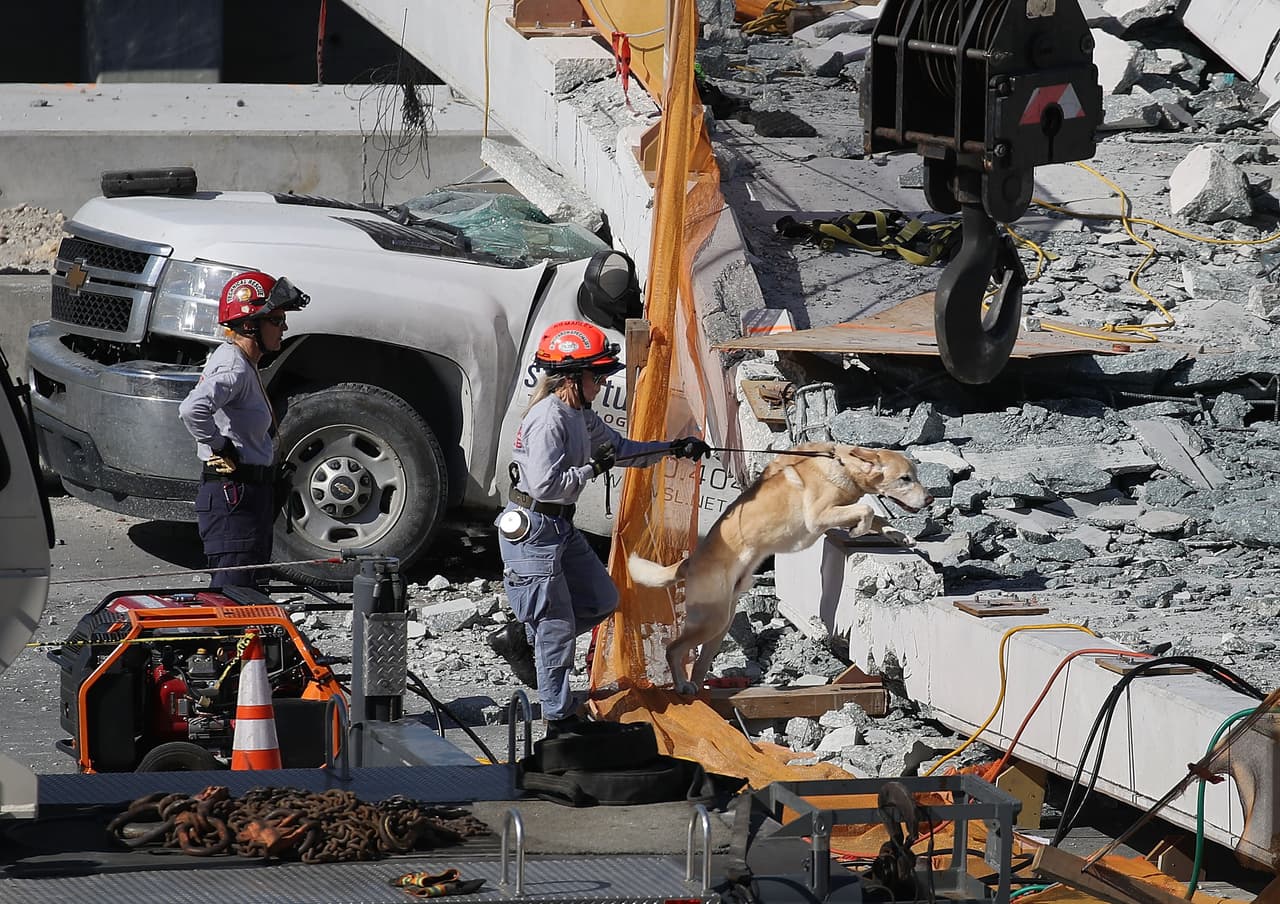 MIAMI, FL - MARCH 15: A rescue dog and its handler works at the scene where a pedestrian bridge collapsed a few days after it was built over southwest 8th street allowing people to bypass the busy street to reach Florida International University on March 15, 2018 in Miami, Florida. Reports indicate that there are an unknown number of fatalities as a result of the collapse, which crushed at least five cars. (Photo by Joe Raedle/Getty Images)