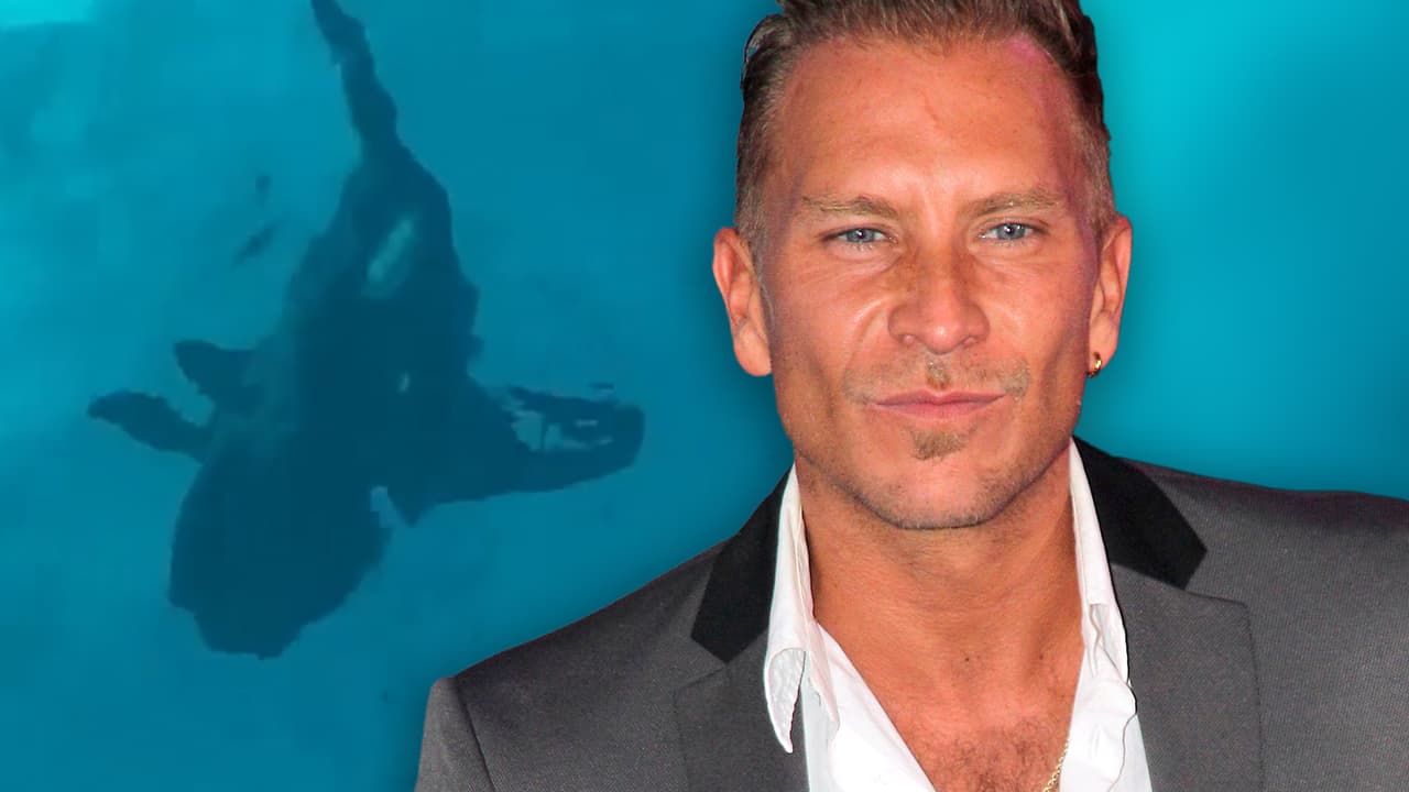 “Dios mío, ¿qué pende… hice?”: Salvador Zerboni se pregunta tras salir vivo de un clavado entre tiburones toro