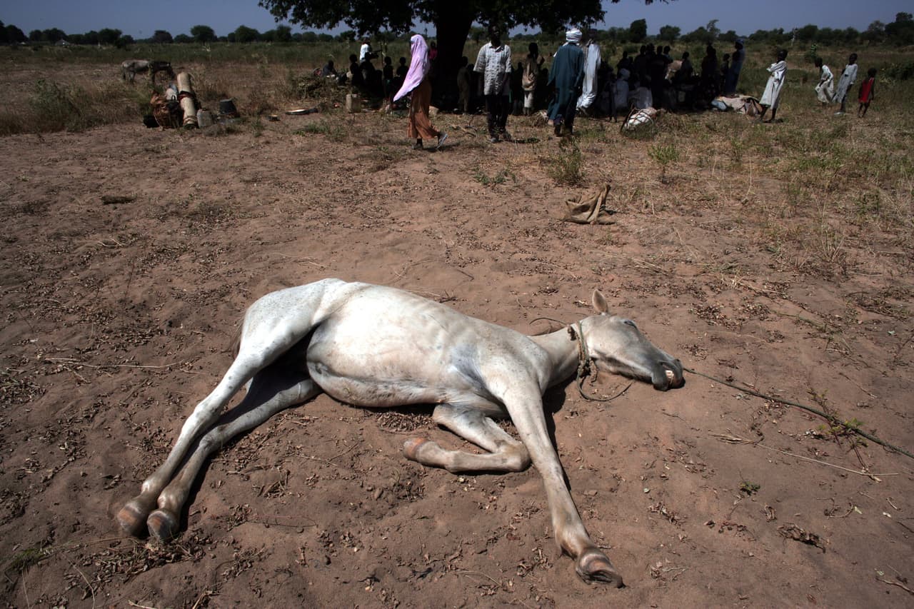 <h3 class="cms-H3-H3">21. Chad</h3>
<br>
<br>⛈️ 
<b>Muertes por año debido a desastres naturales, 1960-2022:</b> 22.7 por millón de personas.
<br>
<br>⛈️ 
<b>Tipo de desastre natural más común: </b>Epidemias (23 desde 1900).
<br>
<br>⛈️ 
<b>Desastre natural más mortal desde 1900: </b>Sequía de noviembre de 1981 (3,000 muertes).
<br>
<br>⛈️ 
<b>Población: </b>16.9 millones de habitantes. 
<br>