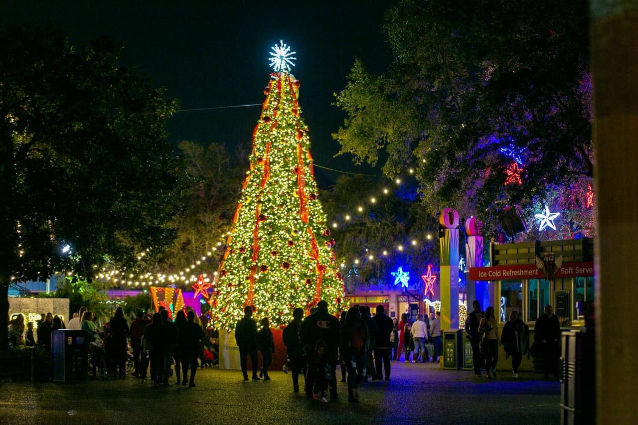 El Festival de luces del Zoológico de Houston está abierta desde el 26 de noviembre y termina el 12 de enero. Los boletos cuestan entre los 18 dólares y 24 dólares, dependiendo del día que quieras asistir. El recorrido se puede hacer entre las 5:30 y las 10 pm, pero la última entrada debe ser a las 9 pm. 
<a href="https://www.houstonzoo.org/events/zoo-lights/" target="_blank">Encuentra más información aquí. </a>
