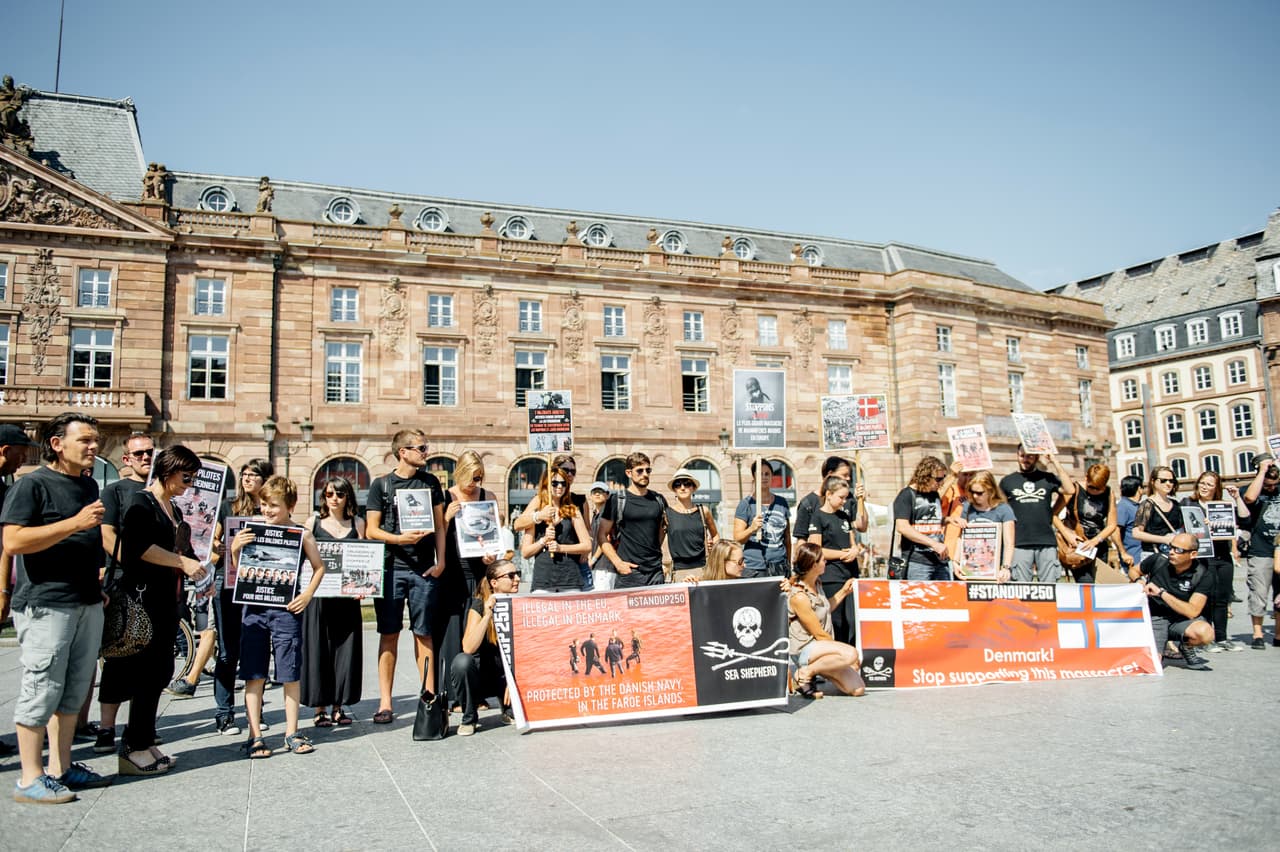 En agosto del 2015, manifestantes protestaron en Estrasburgo, Francia, contra la cacería de ballenas y el encarcelamiento de miembros de la tripulación de Sea Shepard que defendía esta causa en el lugar.