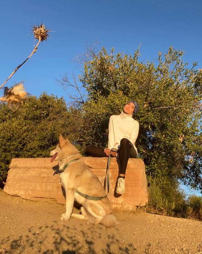 Aunque en esa ocasión la historia tuvo un final feliz porque encontraron a Aquiles gracias a una fan, hasta el momento se sabe que el can lleva dos días perdido.
<br>
