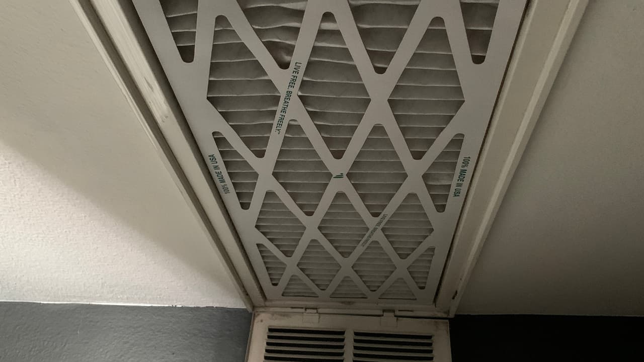 En “Search TDLR Licenses” busca el número de licencia de la compañía o técnico o también puedes escribir su nombre.