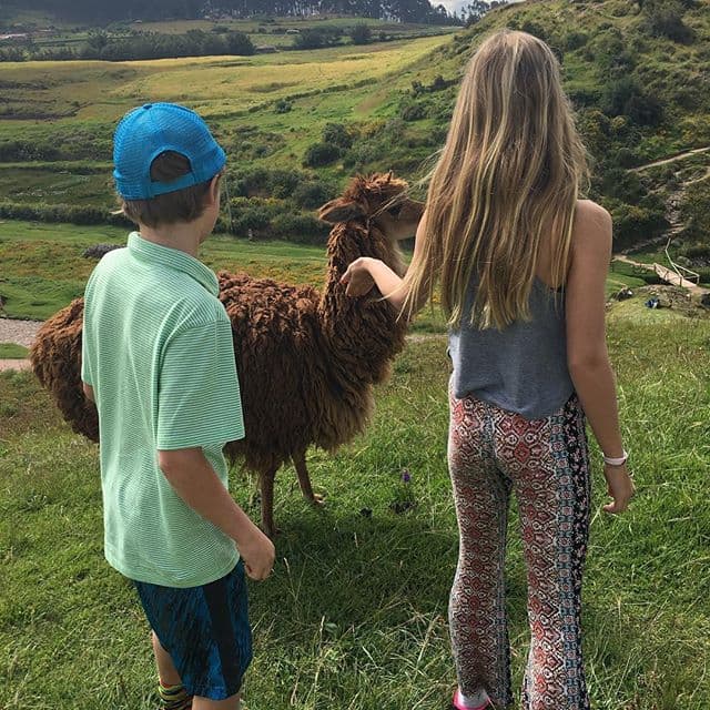 Los hijos de Chris Martin acariciando una llama.
