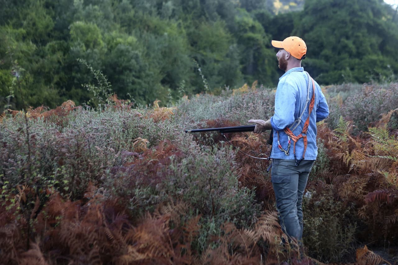 Dependiendo de la edad y la residencia, la ley puede requerir que los cazadores tengan una licencia de caza vigente estatal en su poder mientras cazan en Georgia. Los requisitos varían. Las licencias se pueden comprar en línea, en persona en las ubicaciones participantes o por teléfono.