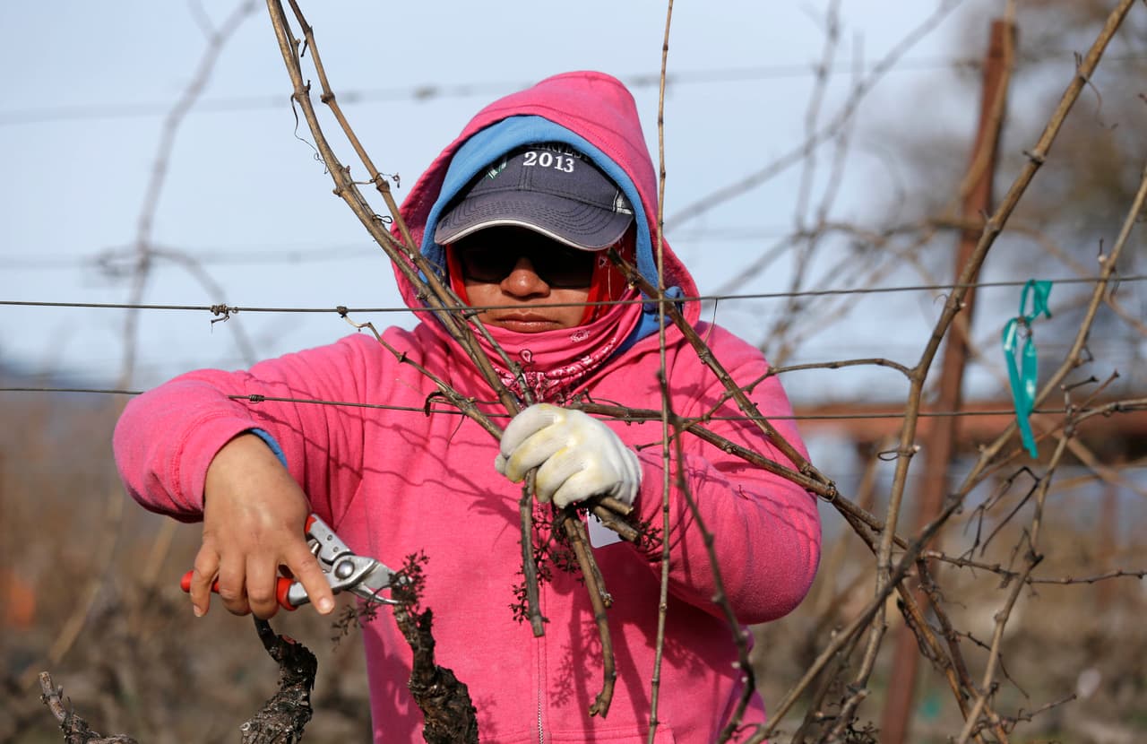 15 claves del proyecto de ley que incluye un camino a la ciudadanía para campesinos indocumentados