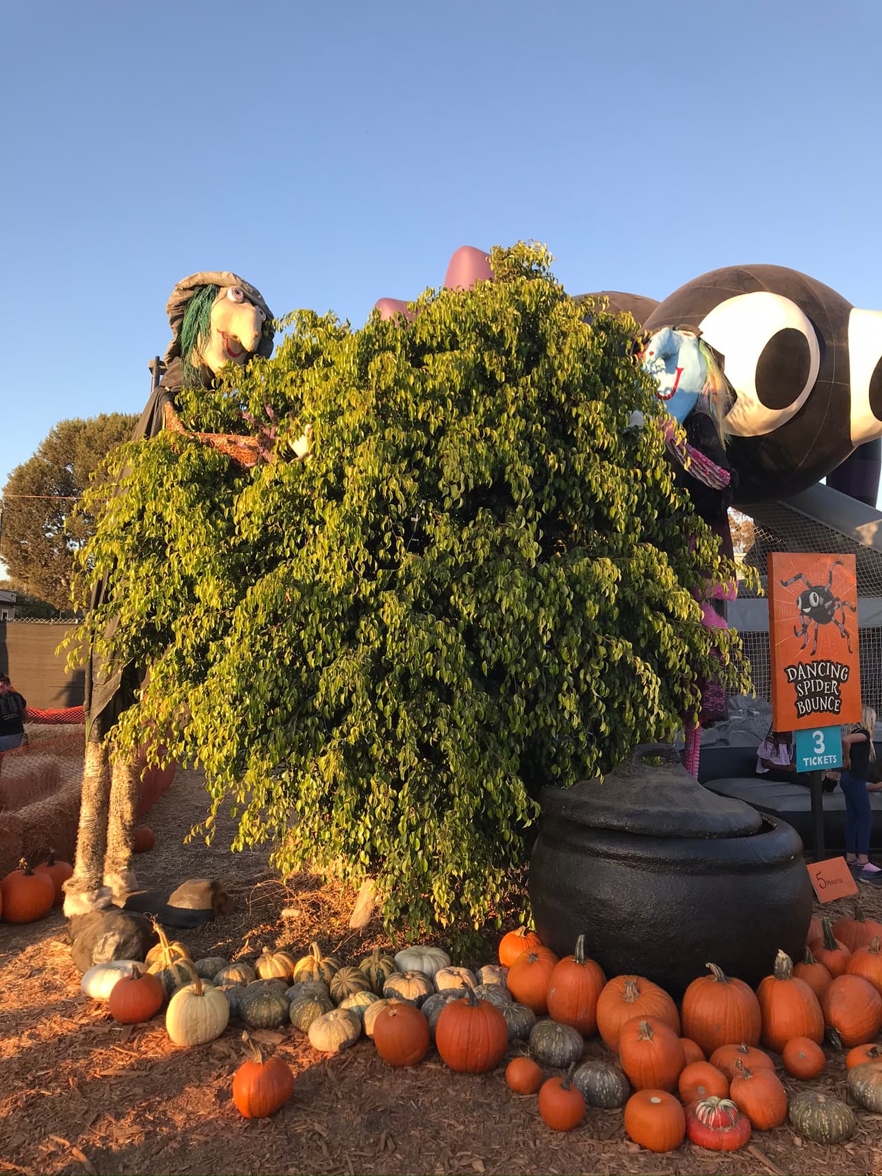 Las brujas escondidas detrás de los arbustos te pueden empujar dentro de su gran paila.