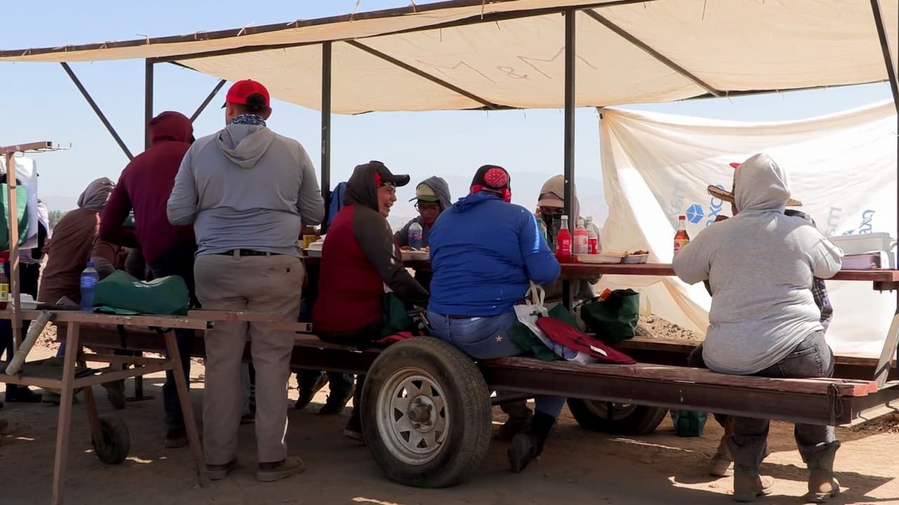 Trabajadores del campo reciben servicios de salud y apoyo al cierre de la cosecha
