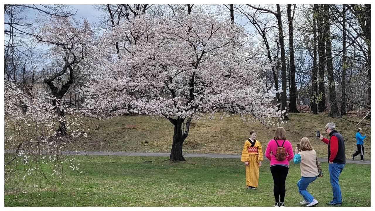 Hay un parque de Nueva Jersey que supera la cantidad de árboles que tiene Washington D.C. Se trata del Branch Brook Park.