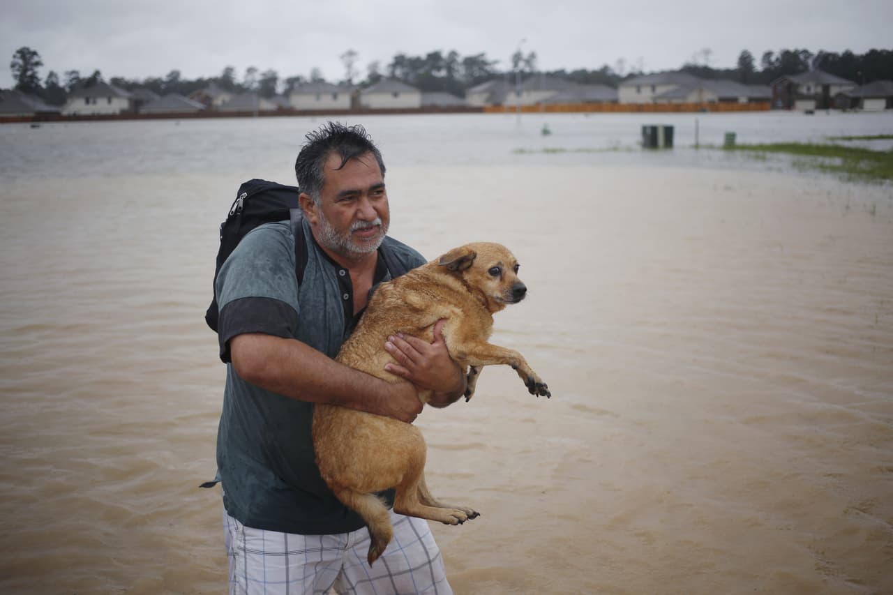 Un residente de Spring, al norte de Houston, escapa de la inundación con su perro en brazos.
<br>