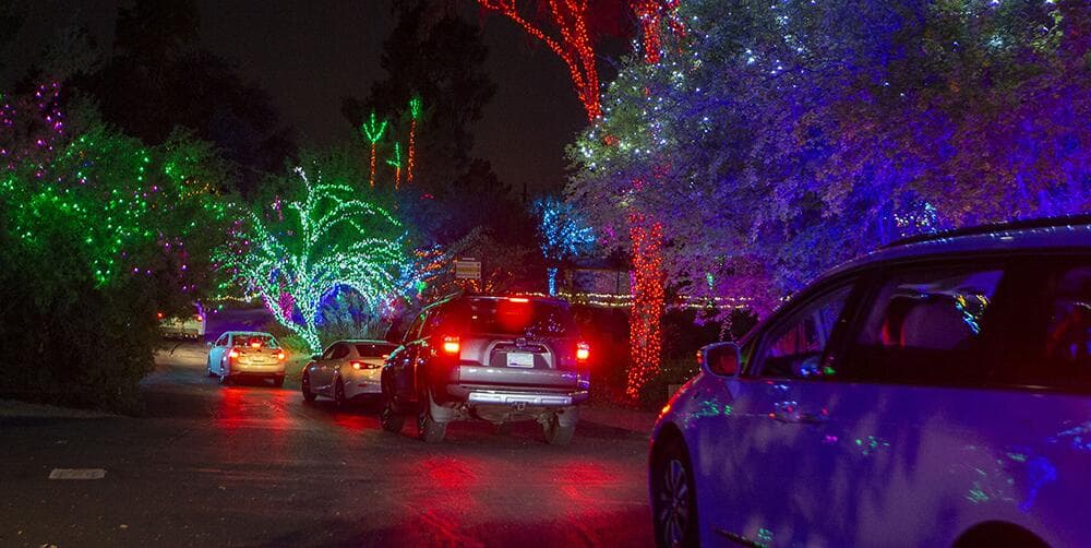 ‘Cruise ZooLights’ comenzó en 2020 debido a la pandemia, pero debido a su popularidad el año pasado, los funcionarios del zoológico decidieron traerlo de vuelta.
<br>