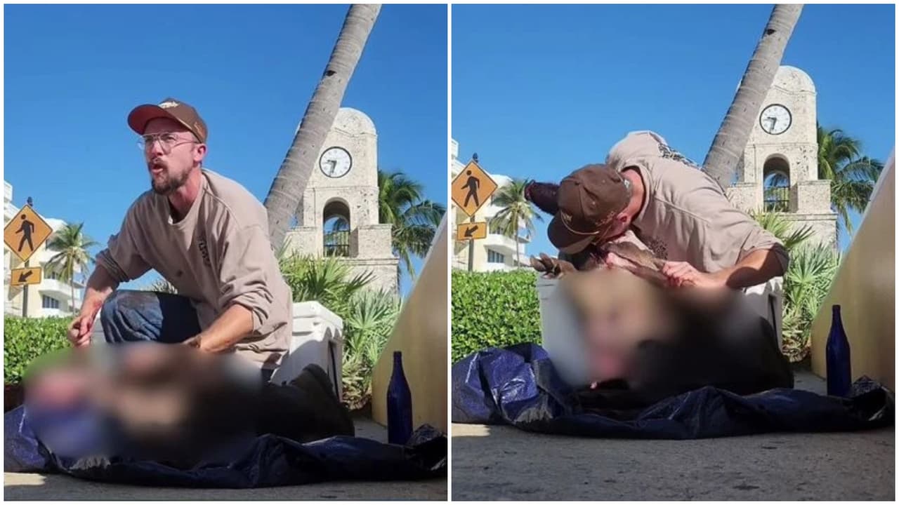 Arrestado por comerse un cerdo muerto frente a la Torre del Reloj en Palm Beach