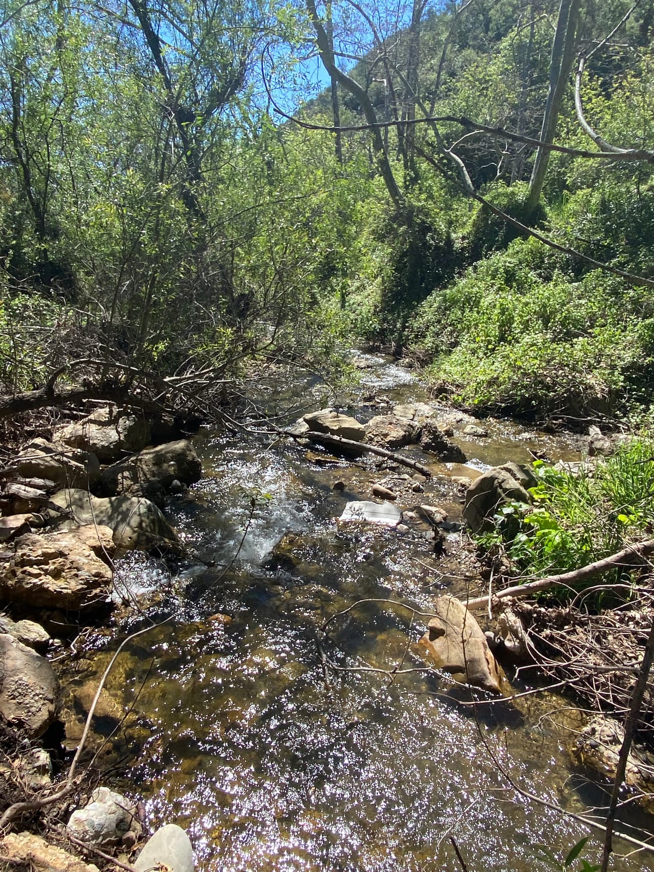 Para que no te tome por sorpresa. Te recomendamos traer un par de tenis adicionales y hasta un cambio de ropa.