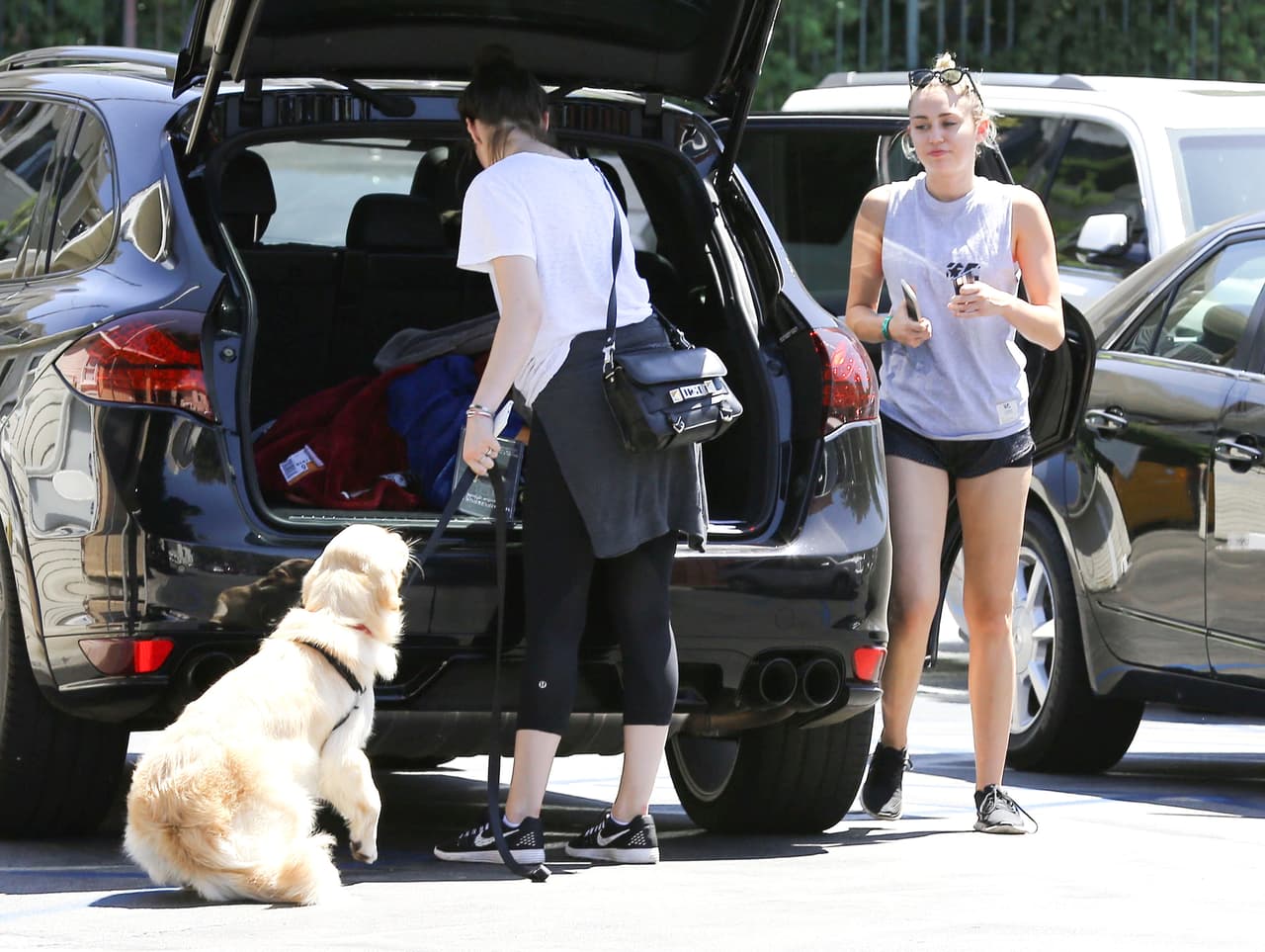 Eso le permite mantener el ritmo de sus peludos amiguitos.
