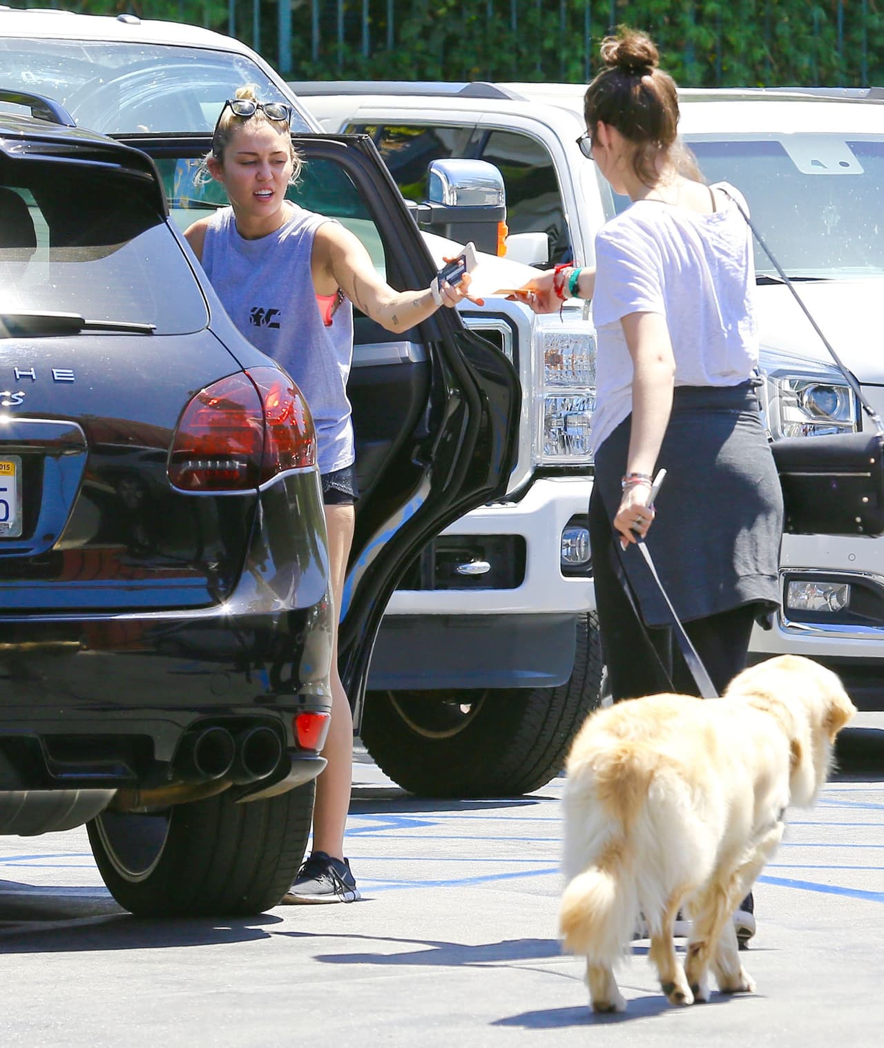 Además, está comprobado que rodearse de perritos es bueno para la salud.