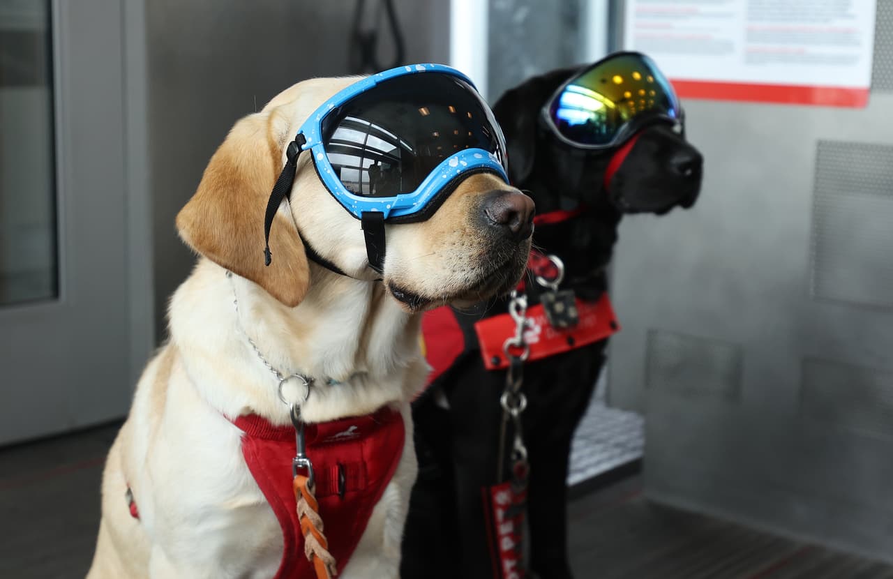 Y cuando decimos "todos", realmente nos referimos a todos.