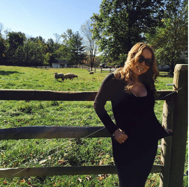 Aprovecha los rayos del sol para una hermosa postal.