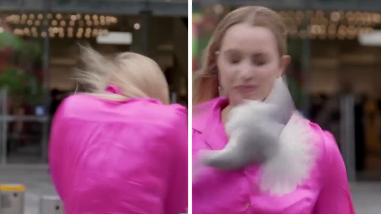 El momento en que una reportera es golpeada en la cara por un ave mientras grababa una nota