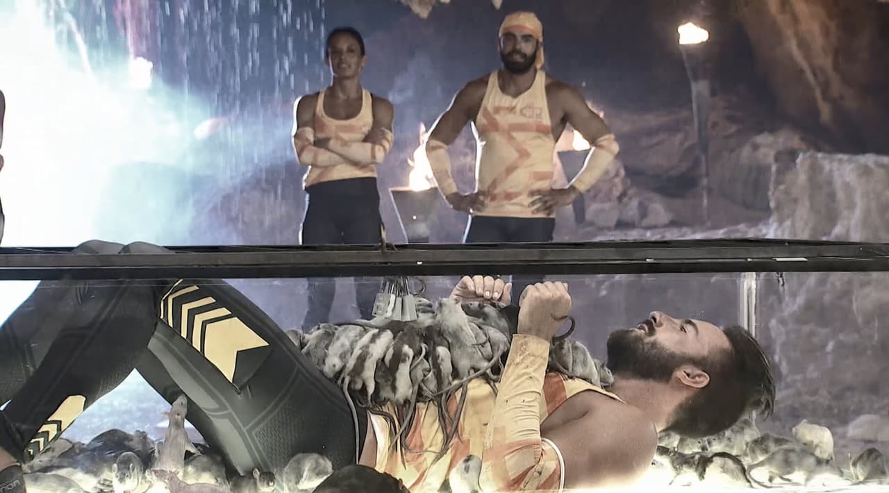 ¿Te imaginas meterte a una enorme caja de cristal con decenas de ratas? Pues esta es otra de las pruebas que han tenido que superar.