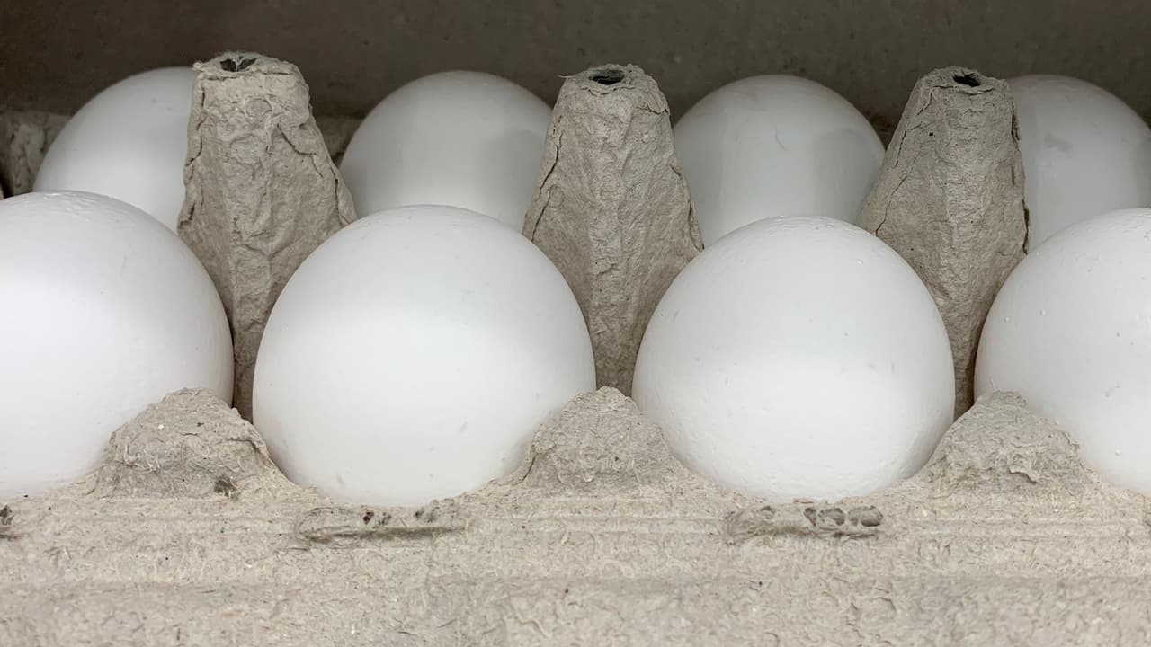 Matías Ríos, CEO de BixPlan, explicó que otra de las razones de lo caro del huevo es que en los últimos 3 meses del año (en la temporada de fiestas) hay una mayor cantidad de consumo de huevos porque aumenta la venta de los pasteles que es una situación de normal de oferta y demanda.