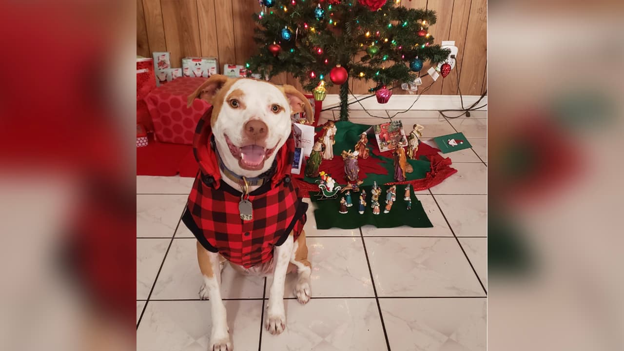 "Felices fiestas les desea Cooper Lopez"